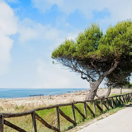 Vila Comfy House In A Quiet Area Near The